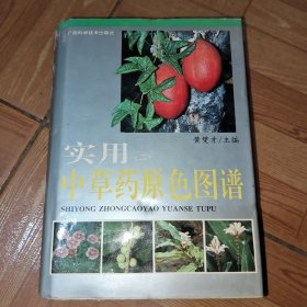 实用中草药原色图谱（二）