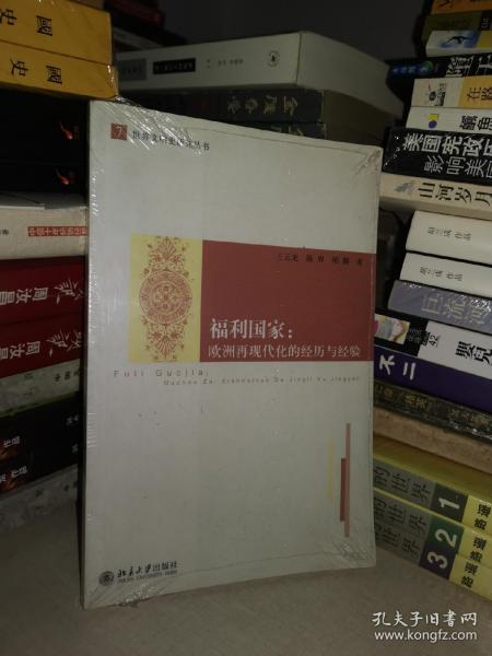 福利国家：欧洲再现代化的经历与经验