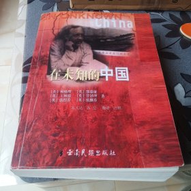 在未知的中国