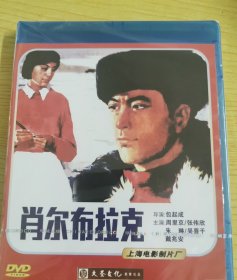 肖尔布拉克DVD全新 周里京 朱琳主演