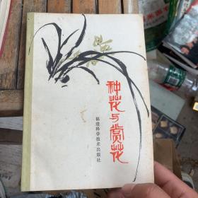 种花与赏花