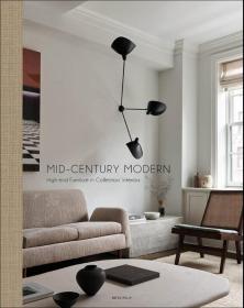 Mid-Century Modern 进口艺术 中世纪现代