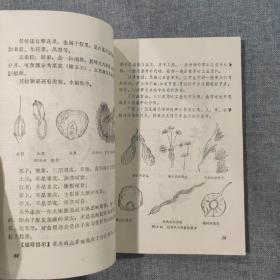 现代化与生物学 供生物兴趣小组用