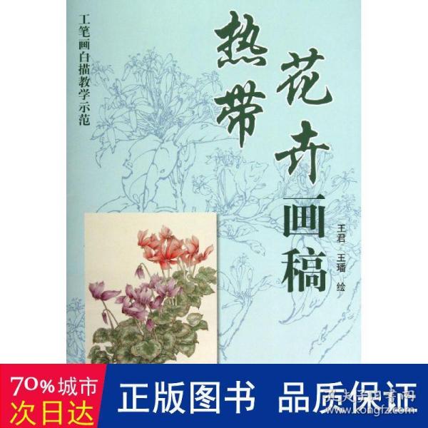 工笔画白描教学示范：热带花卉画稿