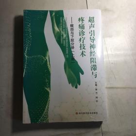 超声引导神经阻滞与疼痛诊疗技术 髋部与下肢分册（上下）两本