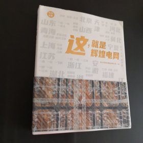 这，就是辉煌电网