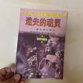 迷失的魂灵--湖北荆沙特大抢劫团伙案侦破纪实