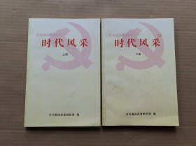 时代风采（上下） 湖南省 全省先进基层组织优秀工作者事迹