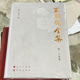 王朝闻全集 第二十九卷