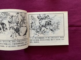 岳飞（上下两册）
