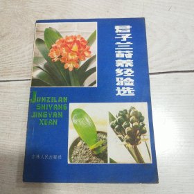 君子兰莳养经验选