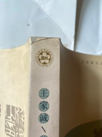 徐渭传（王家诚传记精品系列）