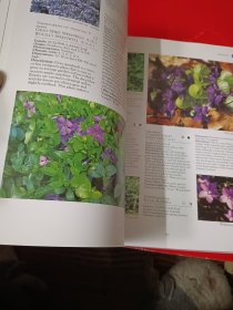 ENCYCLOPEDIA OF FLOWERS 植物百科鲜花，超过1000种