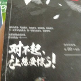 对不起，让您受惊了！