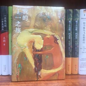 我的丁一之旅（一部独特的爱情故事，反映了广阔的社会背景）