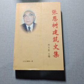 張恩樹建筑文集