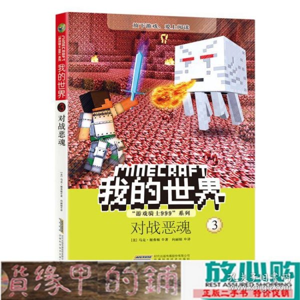 我的世界·游戏骑士999系列3：对战恶魂