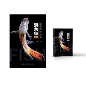 福建野外常见淡水鱼图鉴 活体鱼类照片 林氏细鲫