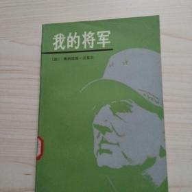 我的将军