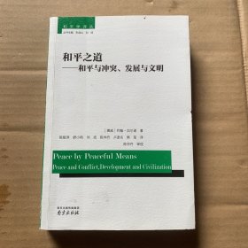 和平之道 : 和平与冲突、发展与文明