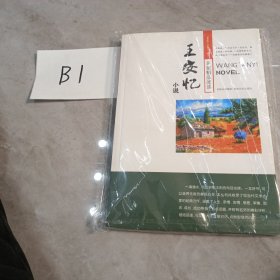 名家精品阅读：王安忆小说