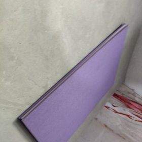 Paul Graham: A Shimmer of Possibility 一丝可能性的光芒