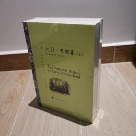 大卫·考坡菲（上、下）