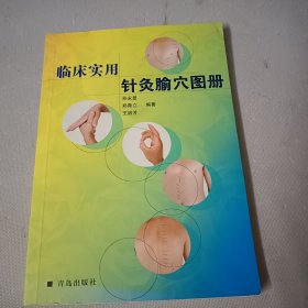 标准针灸穴位图册