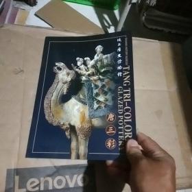 陕西历史博物馆：唐三彩