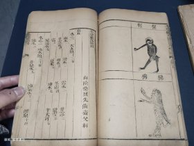 清木刻版画《本草纲目图》两册。（中，下两卷。本草药品总目1卷）。