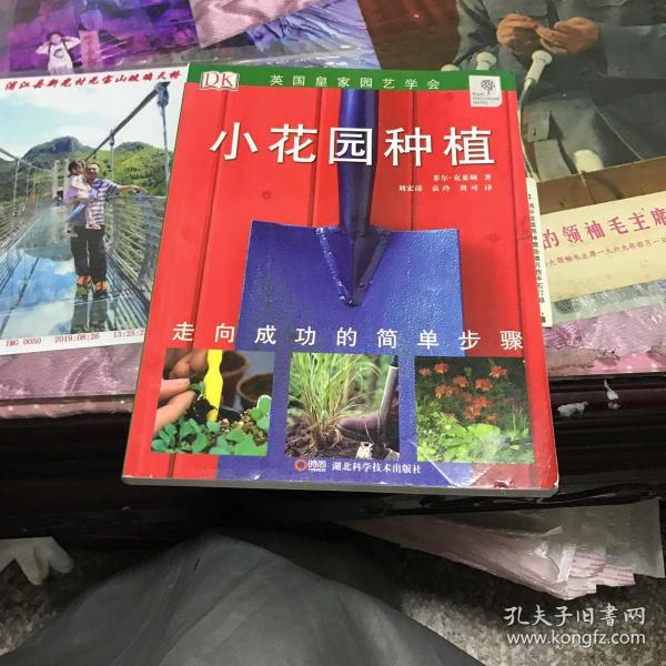 小花园种植：小花园种植+铁线藤与藤蔓植物