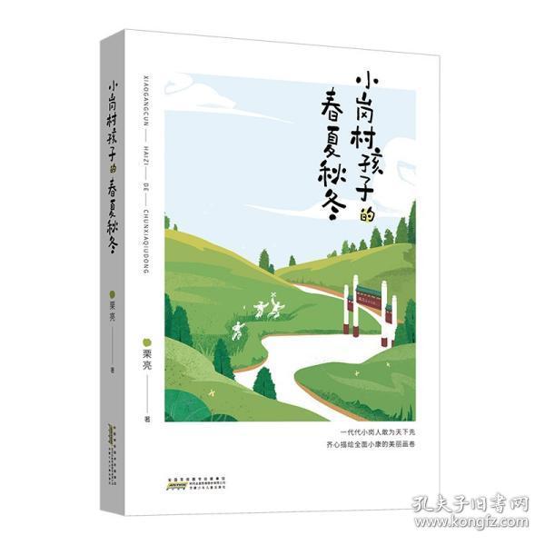 小岗村孩子的春夏秋冬:以小岗孩子成长经历真实纪录全面小康工程取得的伟大成就