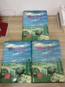 梅州市志上中下