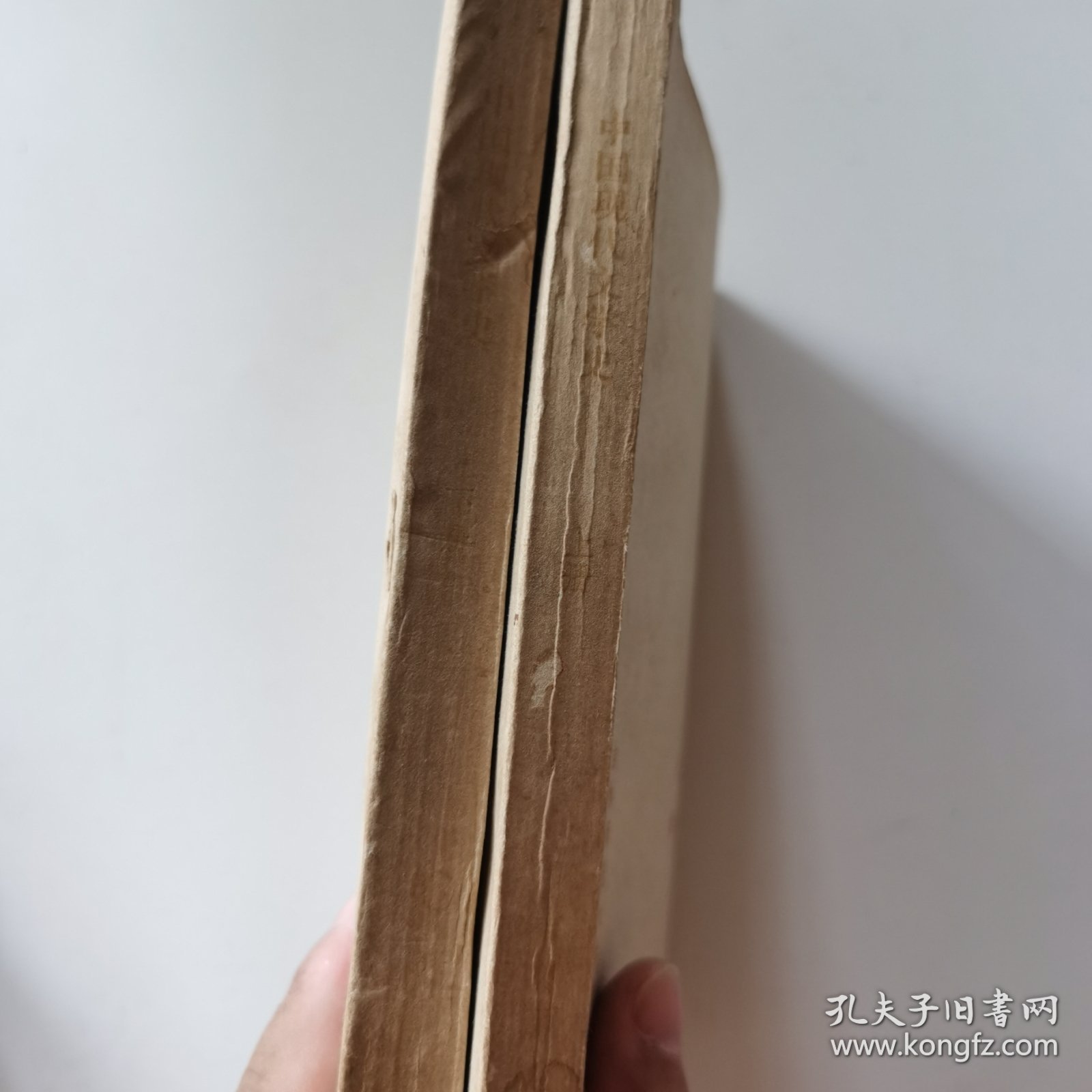 中国现代文学史（上下册）