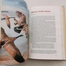 Restoring America s Wildlife1937-1987 （16开精装） 货号EE3
