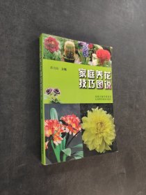 家庭养花技巧图说