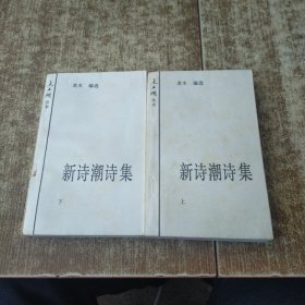 未名湖丛书:新诗潮诗集（上下册） 无勾画