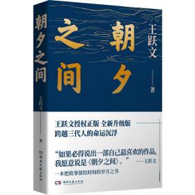 朝夕之间 中国现当代文学 王跃文 新华正版