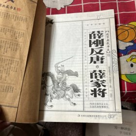 薛刚反唐·薛家将