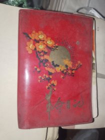 怀旧日记本《革命日记本（样板戏插页）》软精装50开，已使用，详情见图！日记本（21）