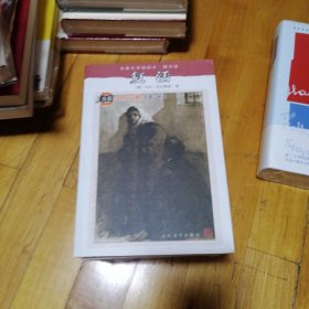 复活：复活名著名译插图本·精华版
