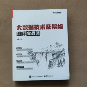 大数据技术及架构图解实战派