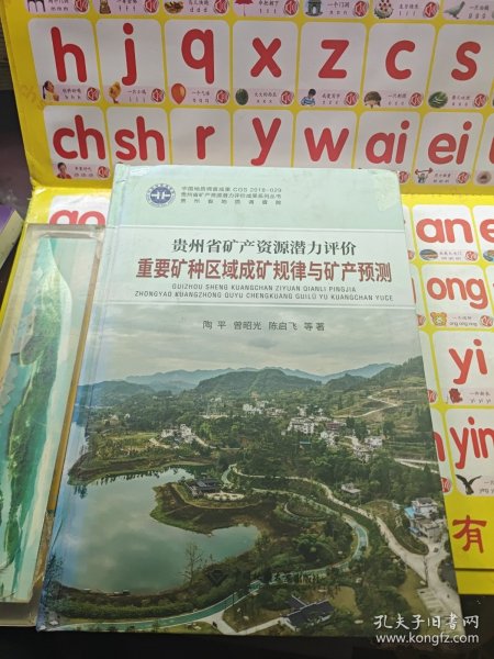 贵州省矿产资源潜力评价重要矿种区域成矿规律与矿产预测(精)/贵州省矿产资源潜力评价成果系列丛书