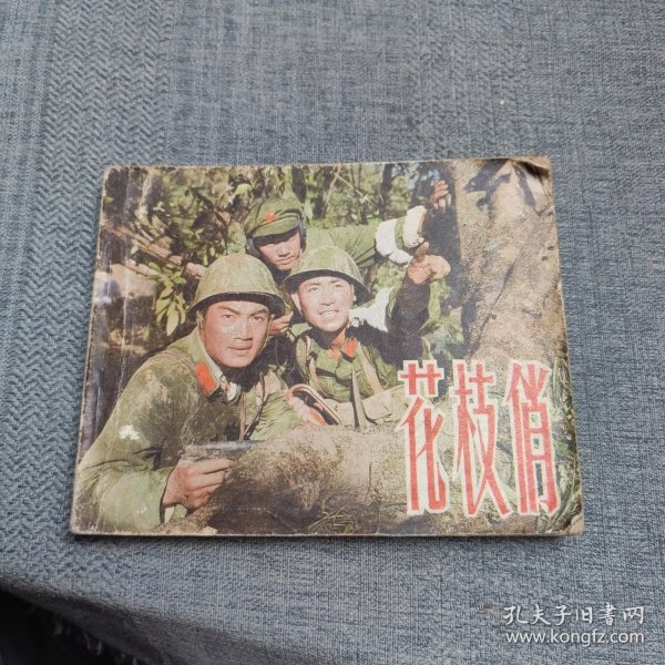 电影连环画册：花枝俏