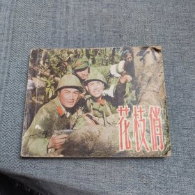 电影连环画册：花枝俏