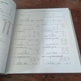 聚合物的裂解气相色谱：质谱图集