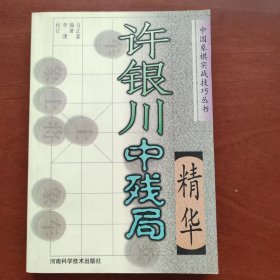 许银川中残局精华