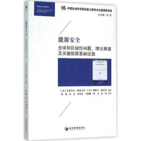 能源安全(全球和区域问题理论展望及关键能源基础设施)/能源经济经典译丛 经济理论、法规 编者:(美)艾德里安·格奥尔基//(罗)利维乌·穆雷桑|主编:史丹|译者:锁箭//张晶//孙伟光//马维雄//等