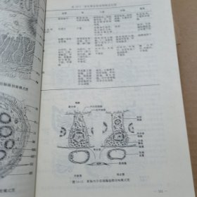 全国医学专科学校教材·供临床医学专业用：组织学和胚胎学