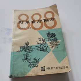 野菜食疗偏方888